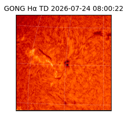 gong - 2026-07-24T08:00:22