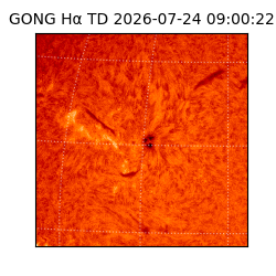 gong - 2026-07-24T09:00:22