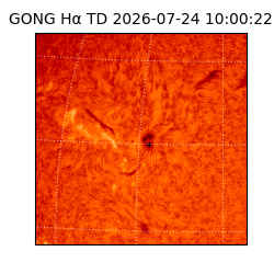 gong - 2026-07-24T10:00:22