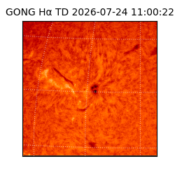 gong - 2026-07-24T11:00:22
