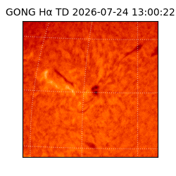 gong - 2026-07-24T13:00:22