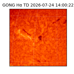 gong - 2026-07-24T14:00:22