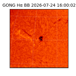 gong - 2026-07-24T16:00:02