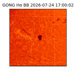gong - 2026-07-24T17:00:02