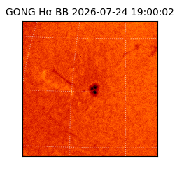 gong - 2026-07-24T19:00:02