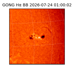 gong - 2026-07-24T01:00:02