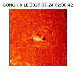 gong - 2026-07-24T02:00:42