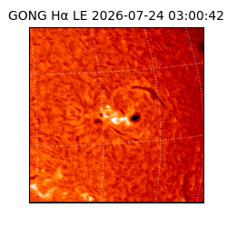 gong - 2026-07-24T03:00:42