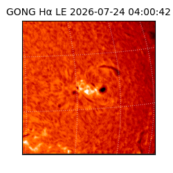 gong - 2026-07-24T04:00:42