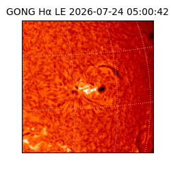 gong - 2026-07-24T05:00:42
