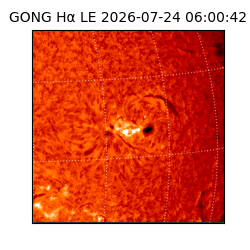 gong - 2026-07-24T06:00:42
