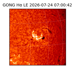 gong - 2026-07-24T07:00:42