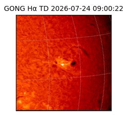 gong - 2026-07-24T09:00:22