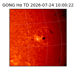 gong - 2026-07-24T10:00:22