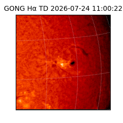 gong - 2026-07-24T11:00:22