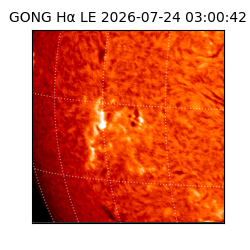 gong - 2026-07-24T03:00:42