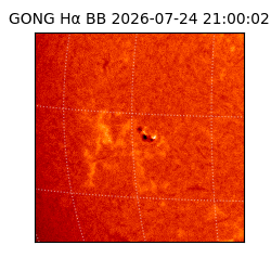 gong - 2026-07-24T21:00:02