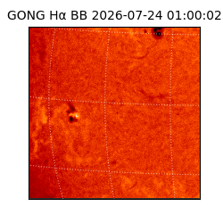 gong - 2026-07-24T01:00:02