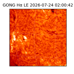 gong - 2026-07-24T02:00:42