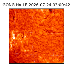 gong - 2026-07-24T03:00:42