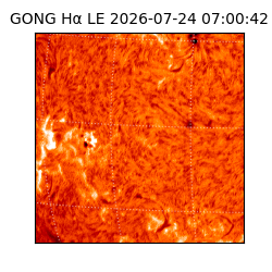 gong - 2026-07-24T07:00:42