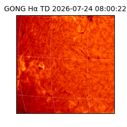 gong - 2026-07-24T08:00:22