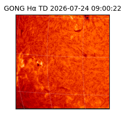 gong - 2026-07-24T09:00:22