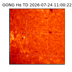 gong - 2026-07-24T11:00:22