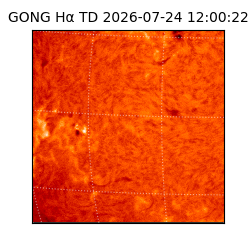 gong - 2026-07-24T12:00:22