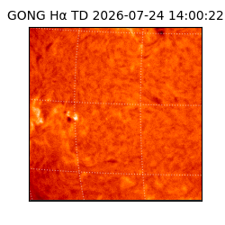 gong - 2026-07-24T14:00:22