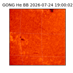 gong - 2026-07-24T19:00:02