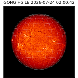 gong - 2026-07-24T02:00:42