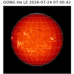 gong - 2026-07-24T07:00:42