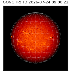 gong - 2026-07-24T09:00:22