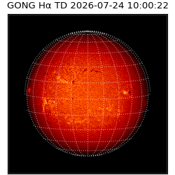 gong - 2026-07-24T10:00:22
