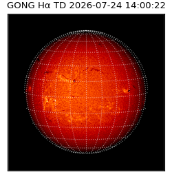 gong - 2026-07-24T14:00:22