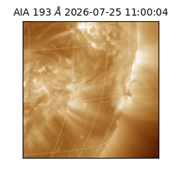 saia - 2026-07-25T11:00:04.842000