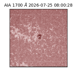 saia - 2026-07-25T08:00:28.732000