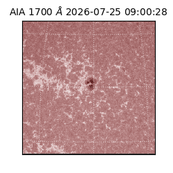 saia - 2026-07-25T09:00:28.717000