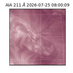 saia - 2026-07-25T08:00:09.624000