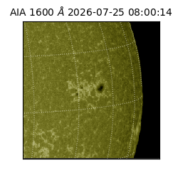 saia - 2026-07-25T08:00:14.122000