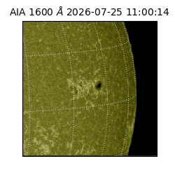 saia - 2026-07-25T11:00:14.131000