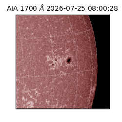 saia - 2026-07-25T08:00:28.732000