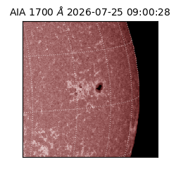 saia - 2026-07-25T09:00:28.717000