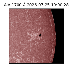saia - 2026-07-25T10:00:28.716000