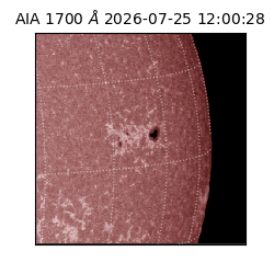 saia - 2026-07-25T12:00:28.719000