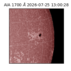 saia - 2026-07-25T13:00:28.719000