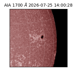 saia - 2026-07-25T14:00:28.719000