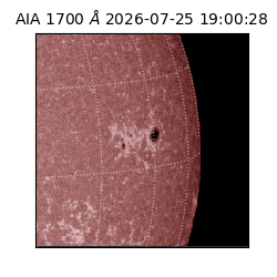 saia - 2026-07-25T19:00:28.716000