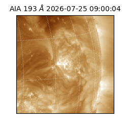 saia - 2026-07-25T09:00:04.842000